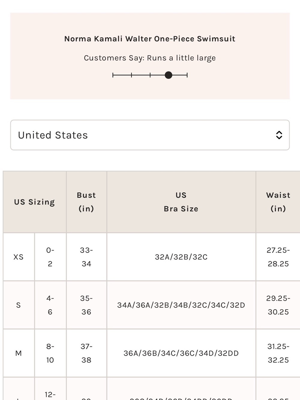 NWT Free People Norma Kamali Walter One-Piece Swimsuit in Chocolate Brown sz L - Picture 6 of 10